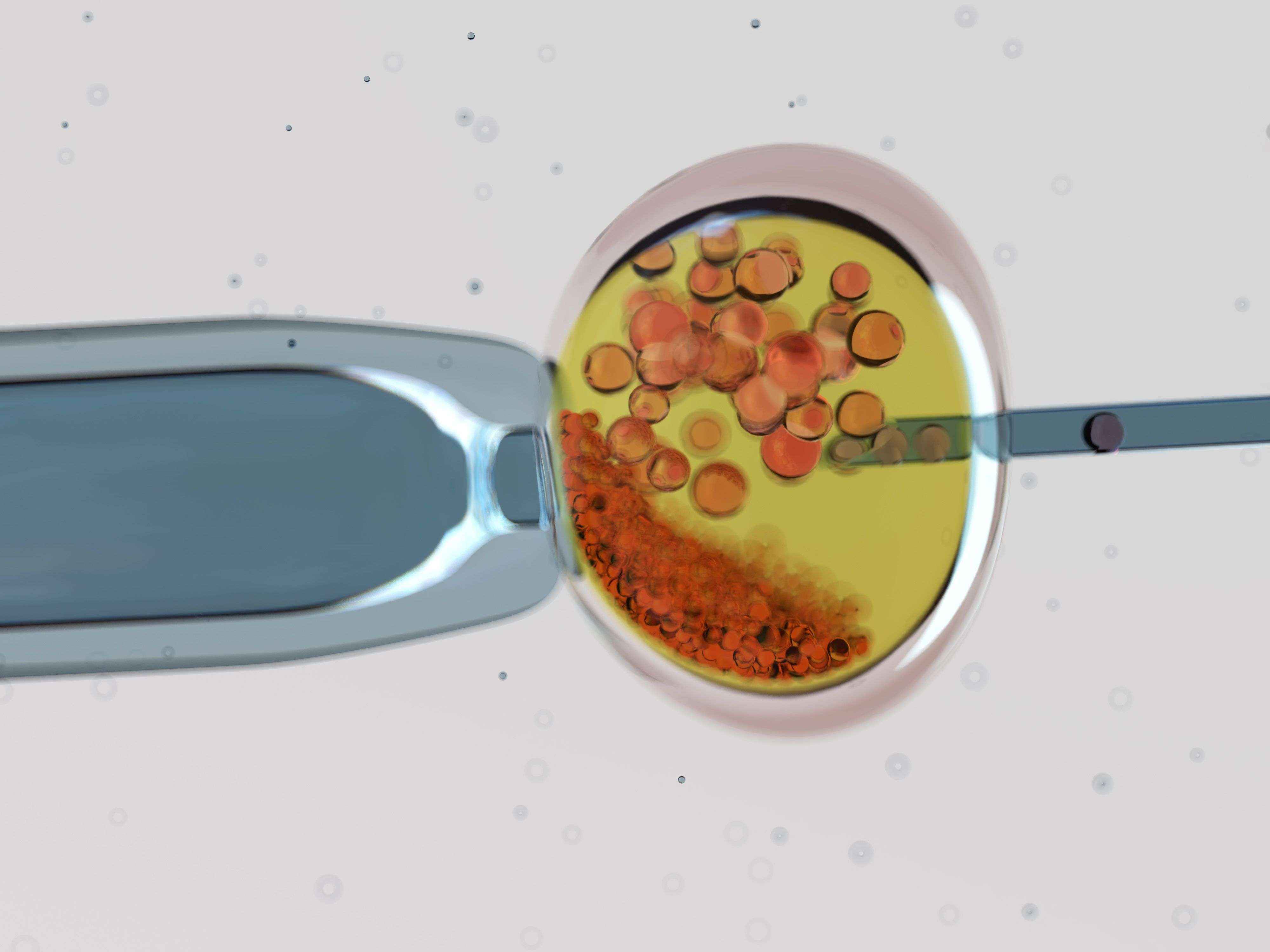 MARGen: El coronavirus no debe frenar la reproducción asistida, pero sí retrasar el embarazo