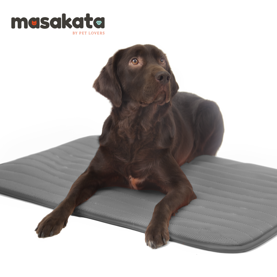Nace una nueva marca de camas terapéuticas para mascotas: Masakata