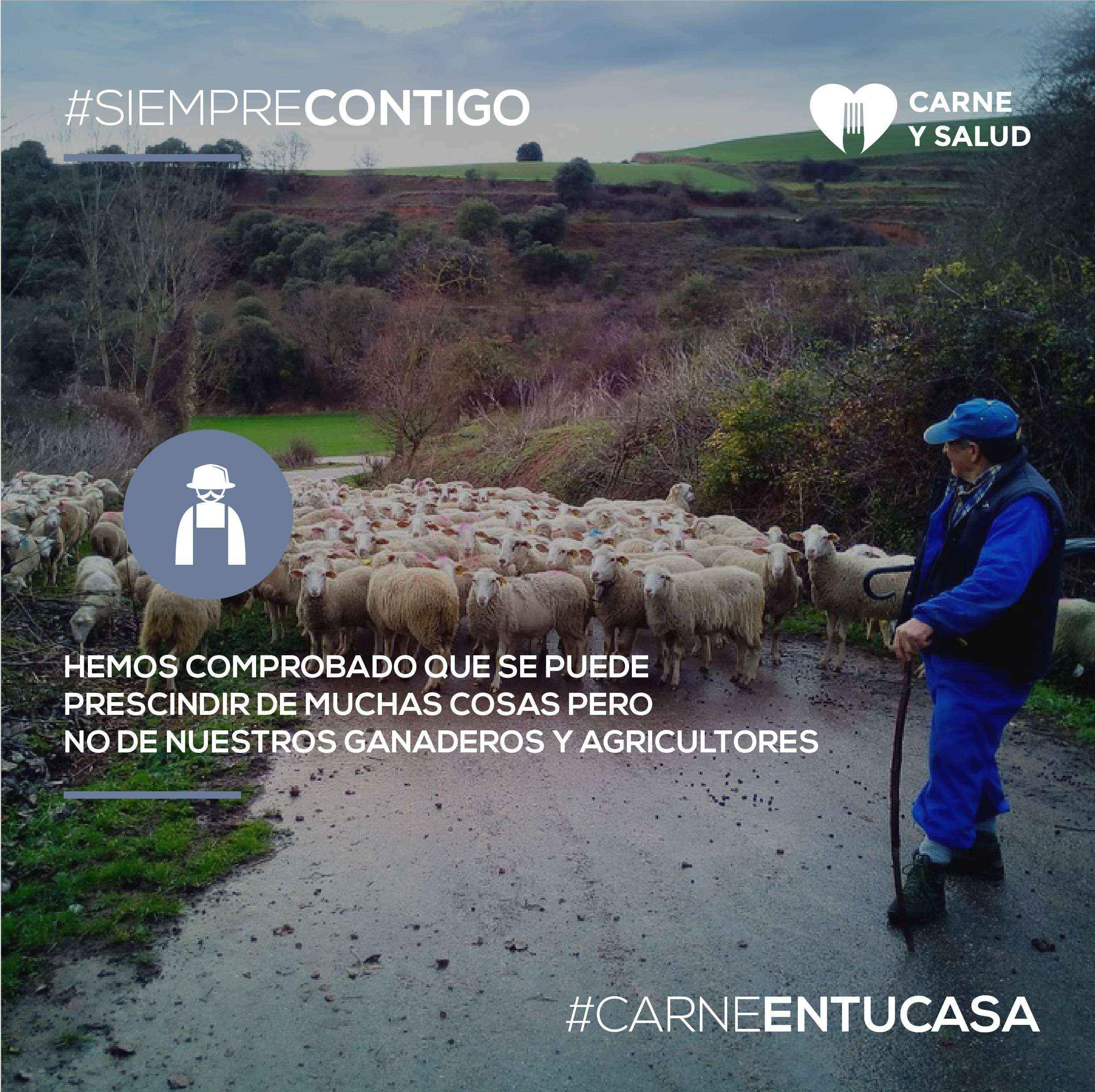 Consumidores, veterinarios y administración reconocen el trabajo del sector ganadero-cárnico