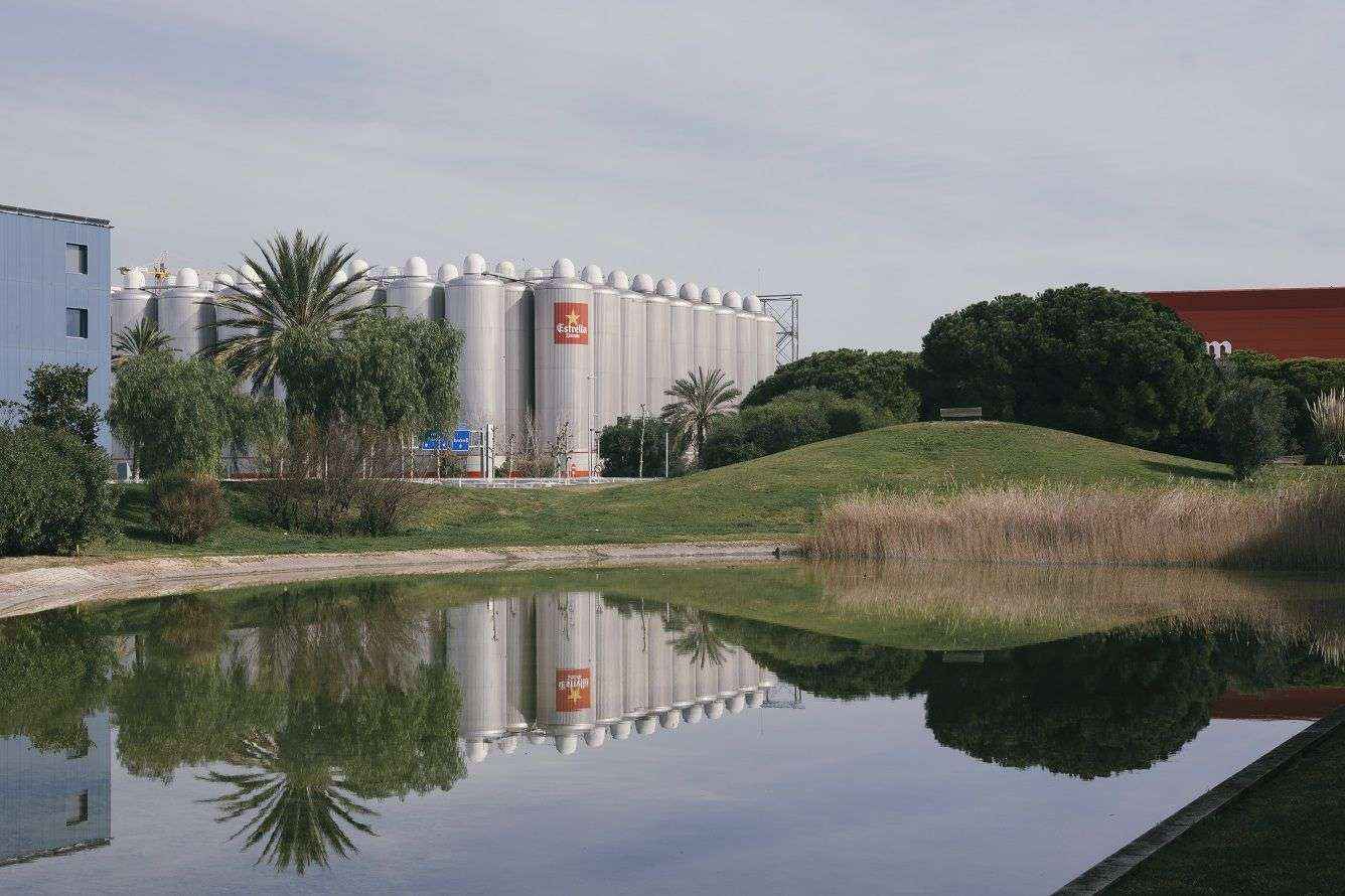 Damm generará energía verde a partir de la cerveza retirada en bares y restaurantes