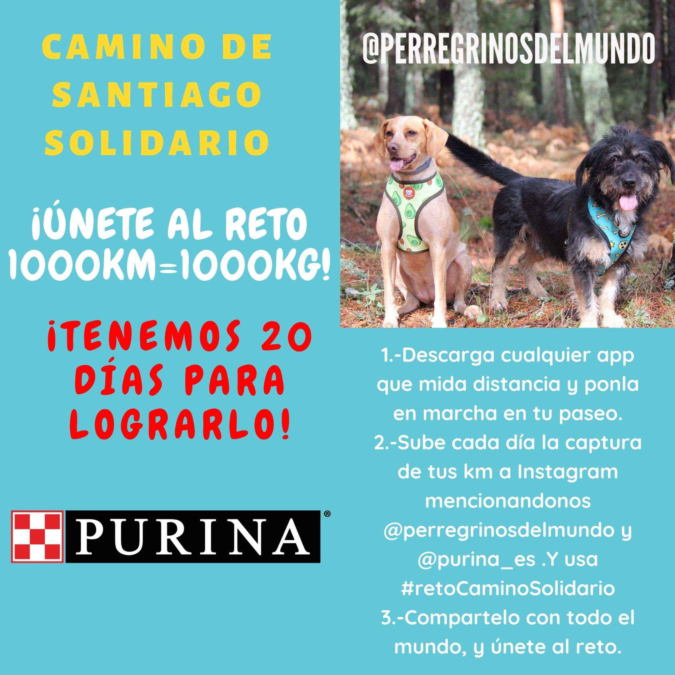 Purina y PeRRegrinos del Mundo lanzan la iniciativa #retoCaminoSolidario