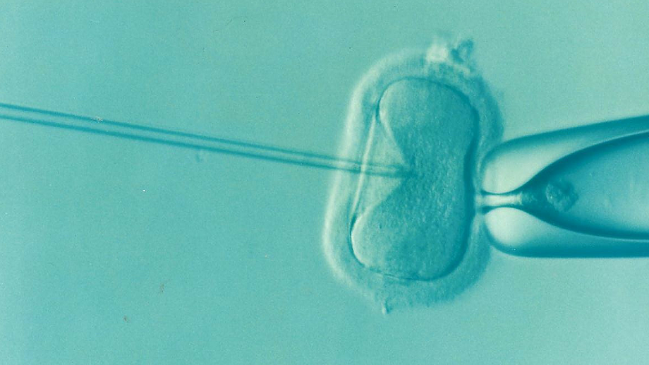 La Infertilidad preocupa más que el Coronavirus, según Jan Tesarik Director de la Clínica MARGen