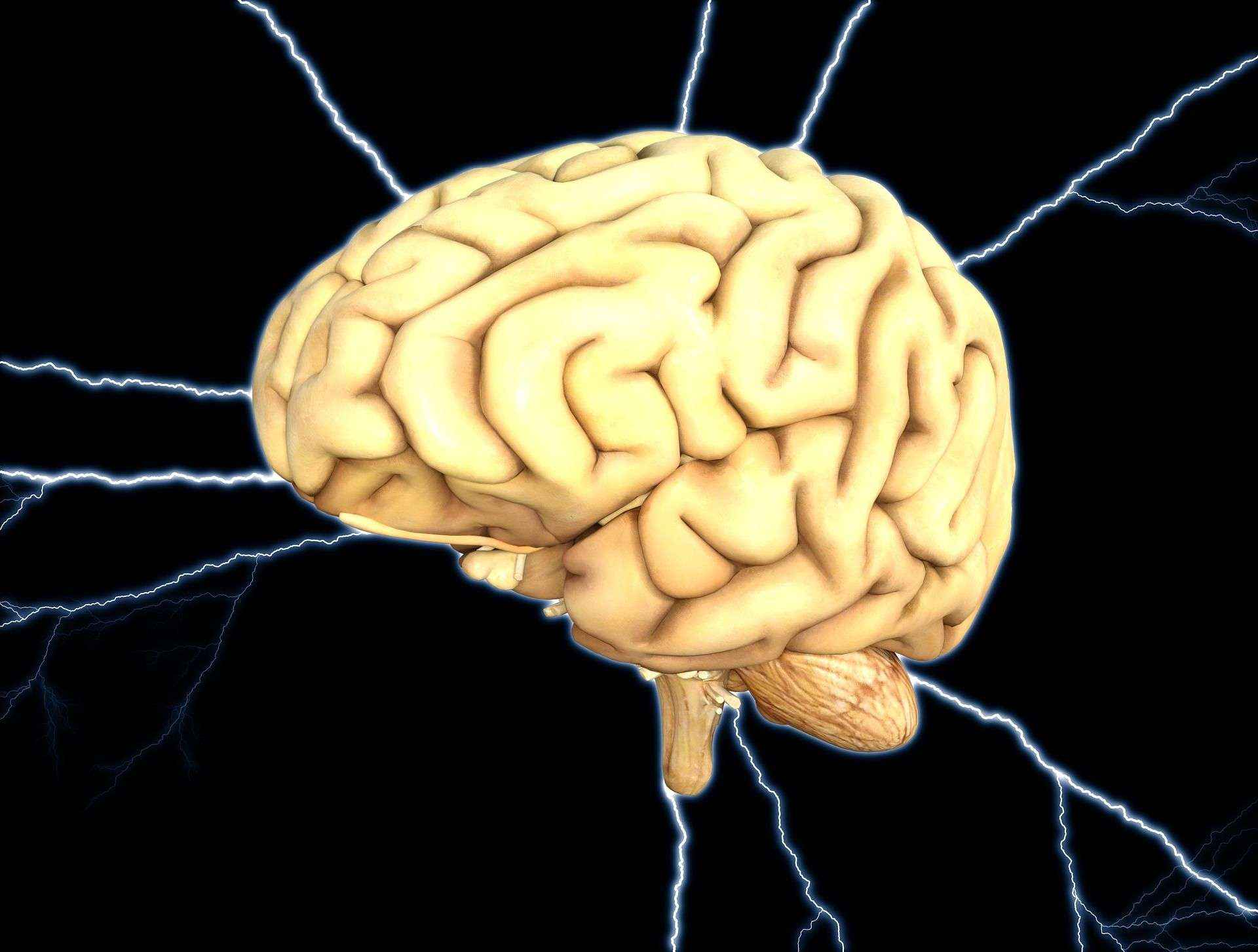 La fundación Freno al Ictus, revela como detectar a tiempo un accidente cerebrovascular