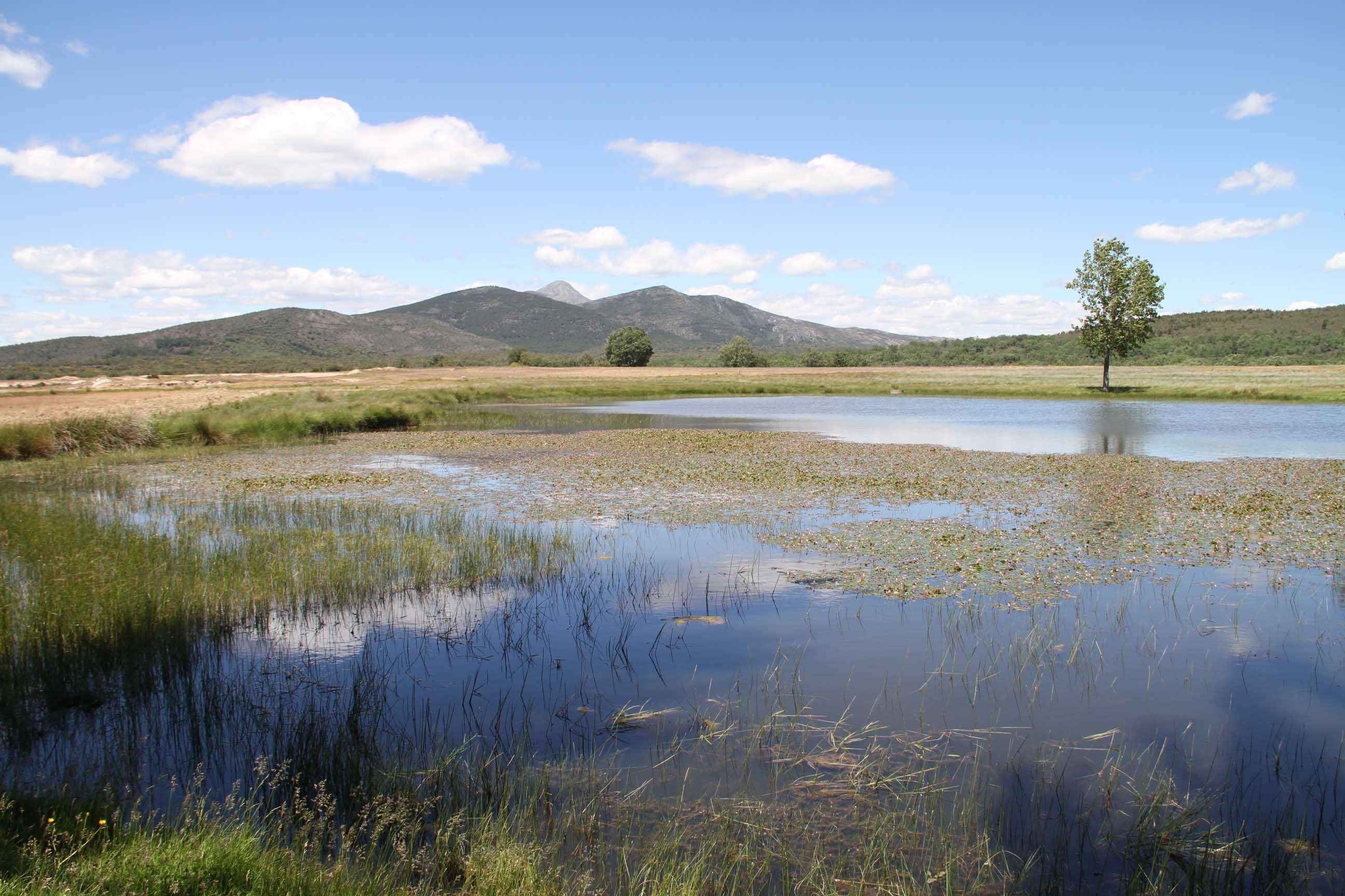 Nuevas ayudas para la creación, mejora o ampliación de infraestructuras públicas en zonas rurales