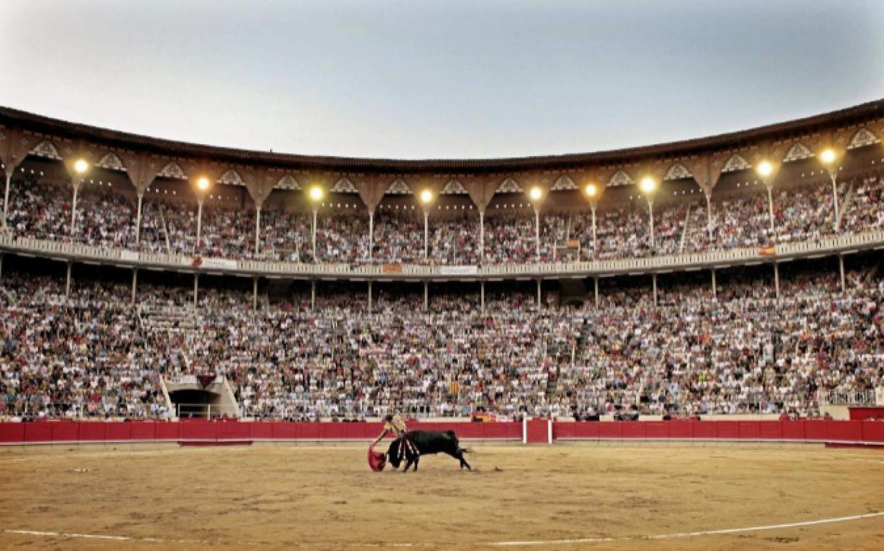 Piezas taurinas para coleccionistas: cabeza de toro para colgar
