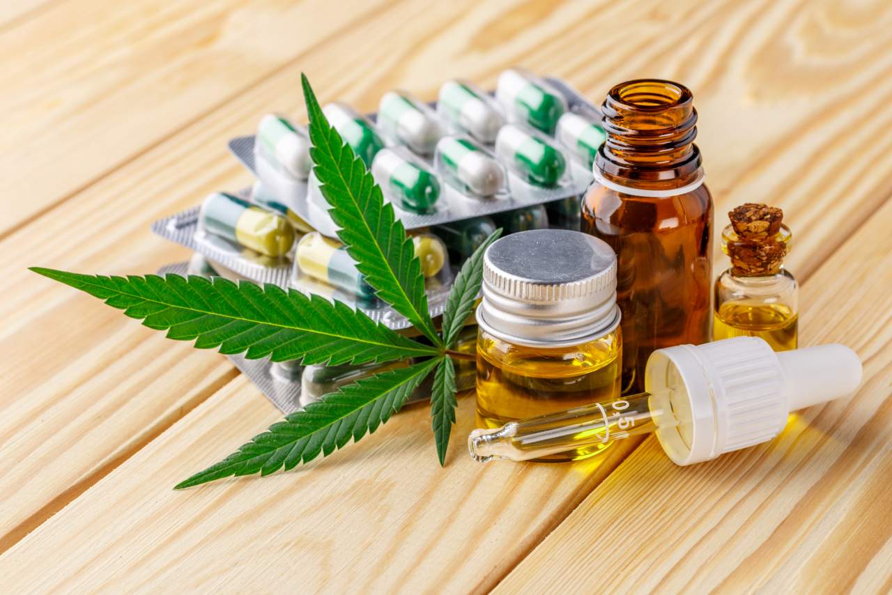 Gana popularidad tras su campaña de microcenazgo: Indica Sur SL