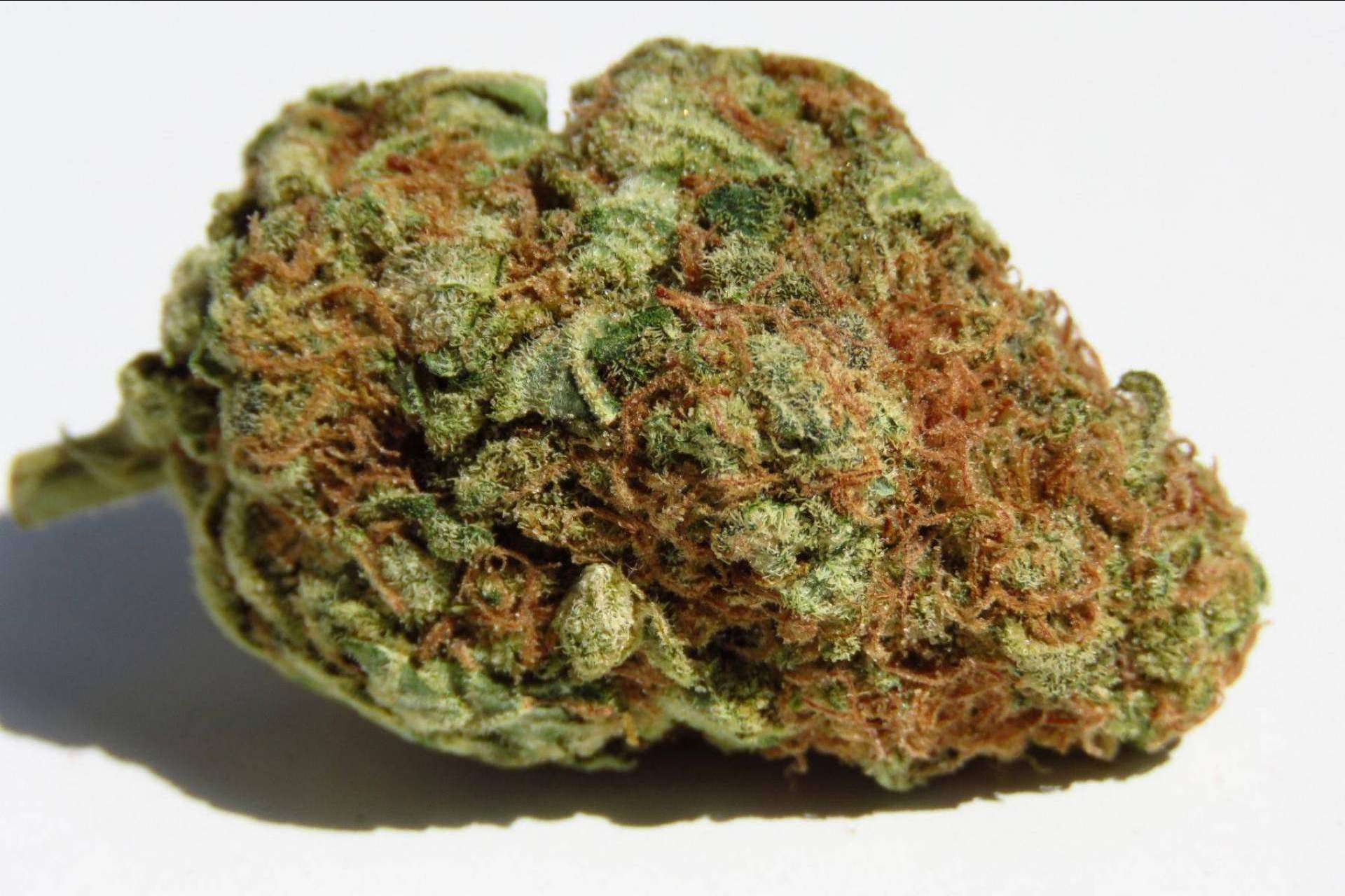 De Pata Verde: ¿Qué son las flores de cannabidiol?
