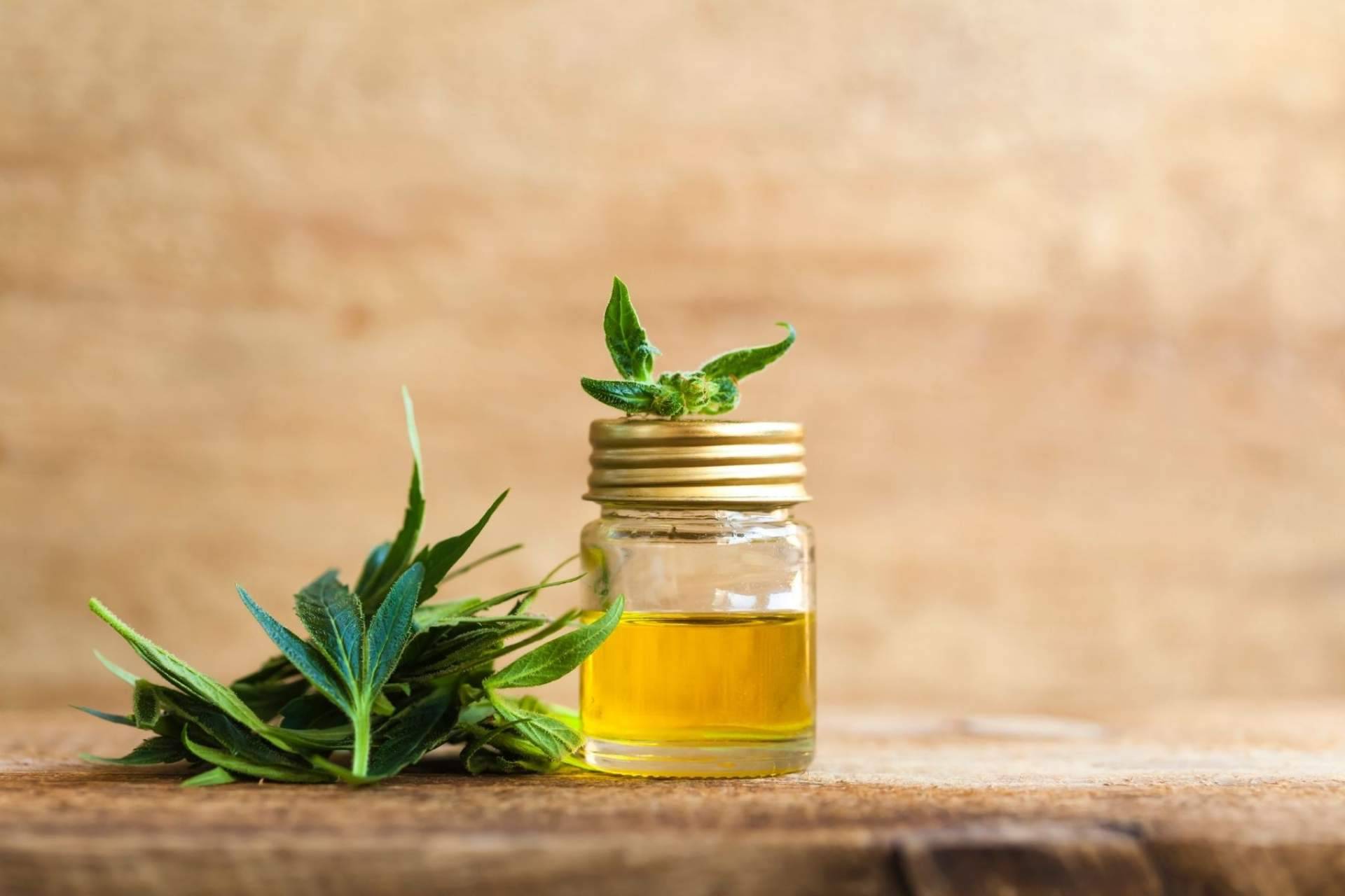 Premium Legal Hemp: ¿El aceite CBD para tratar molestias musculares funciona?