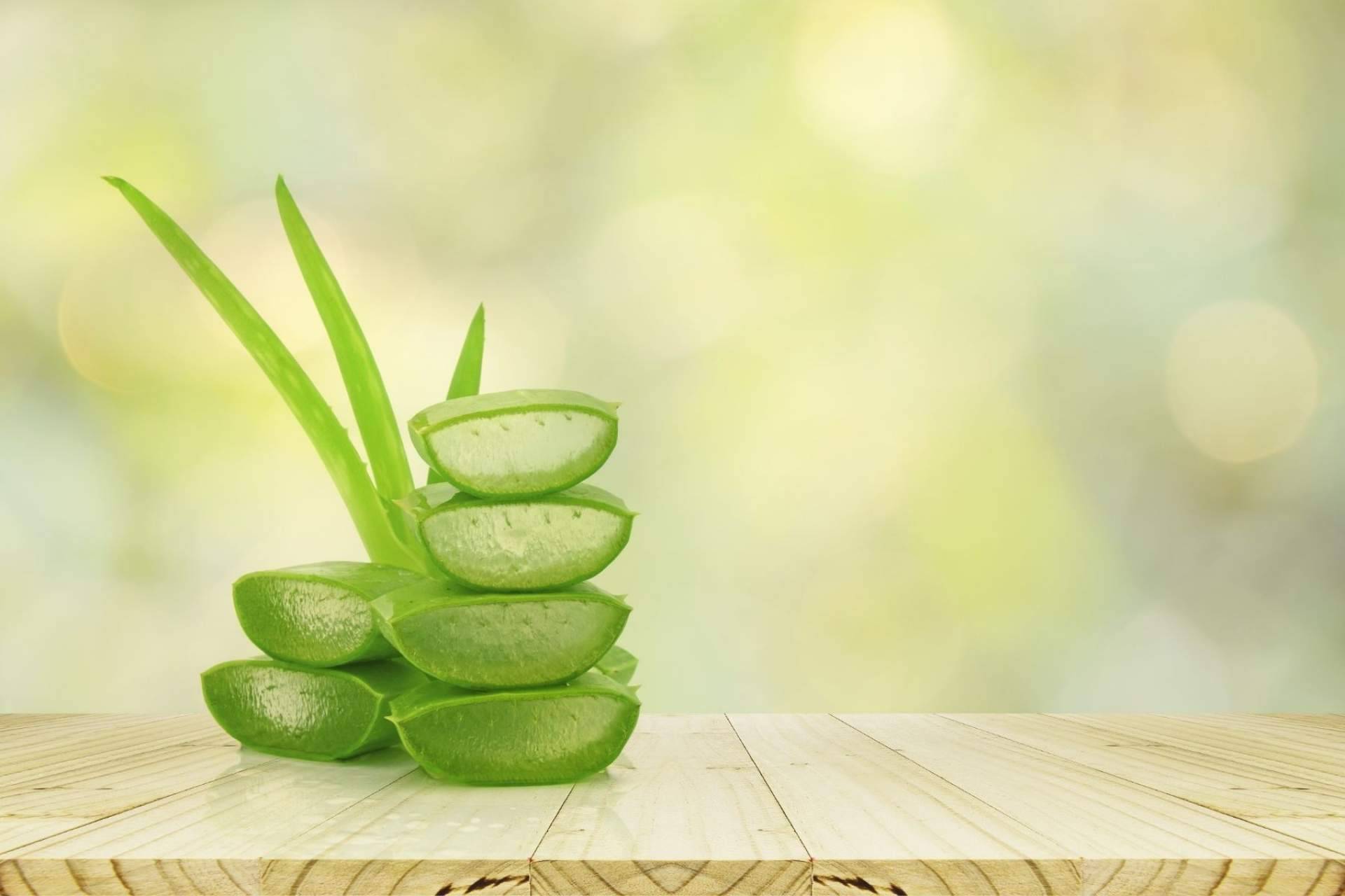 TerritorioAloe acerca las propiedades del aloe vera a los clientes