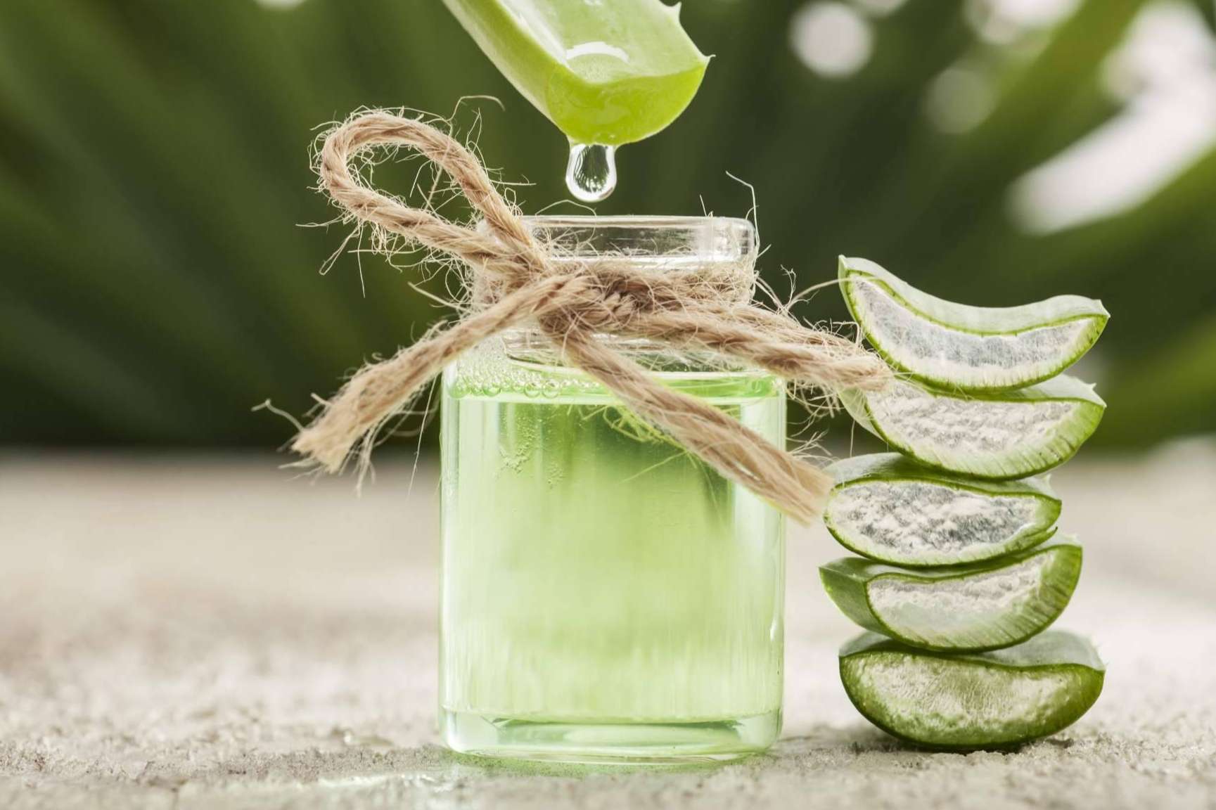 El mundo de las terapias naturales encuentra en TerritorioAloe uno de los mejores aliados en el proveimiento de productos de aloe vera