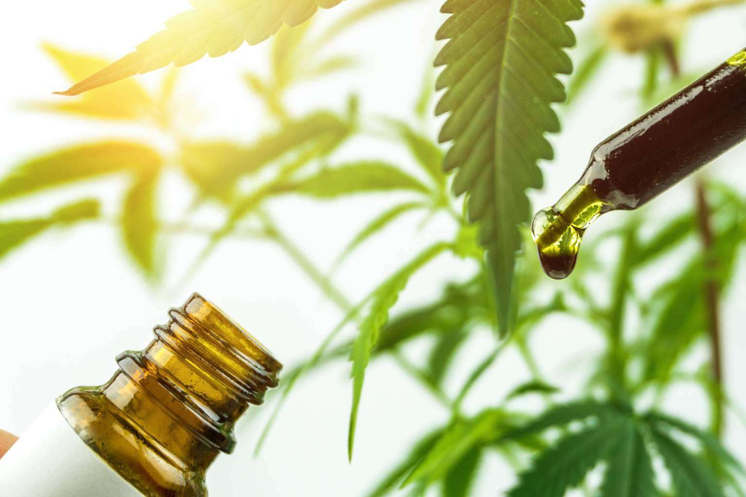Legal Hemp, la marca que ofrece productos elaborados a partir de aceite CBD