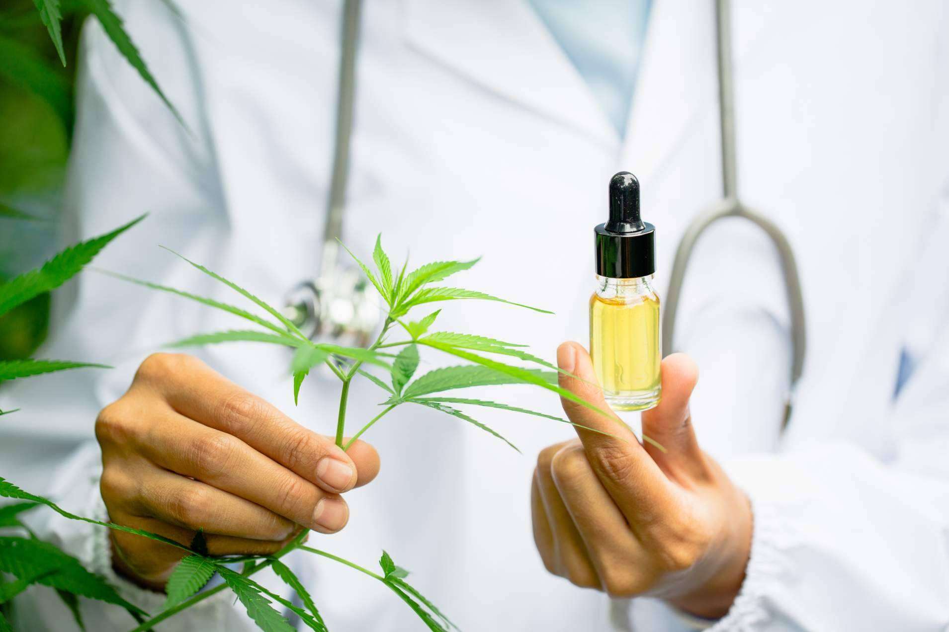 Las propiedades del CBD en los productos estrella de Legal Hemp