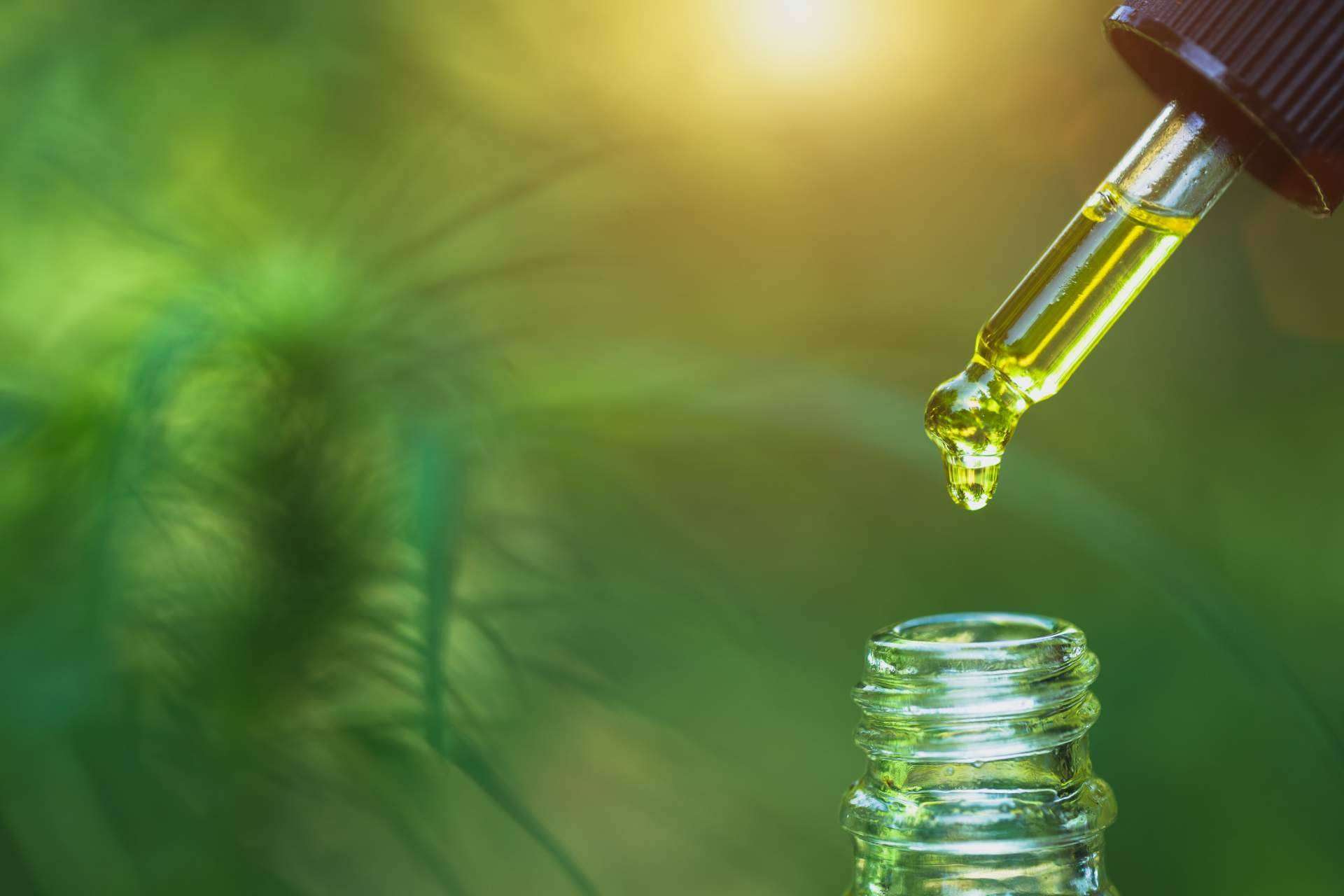 Legal Hemp ofrece cosmética natural a base de aceite CBD