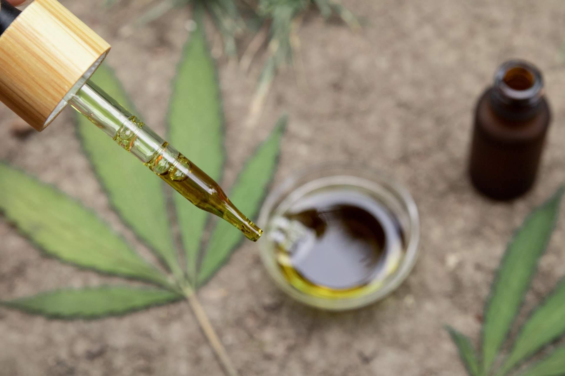 El nuevo growshop online con un extenso catálogo de productos, topgrow.es