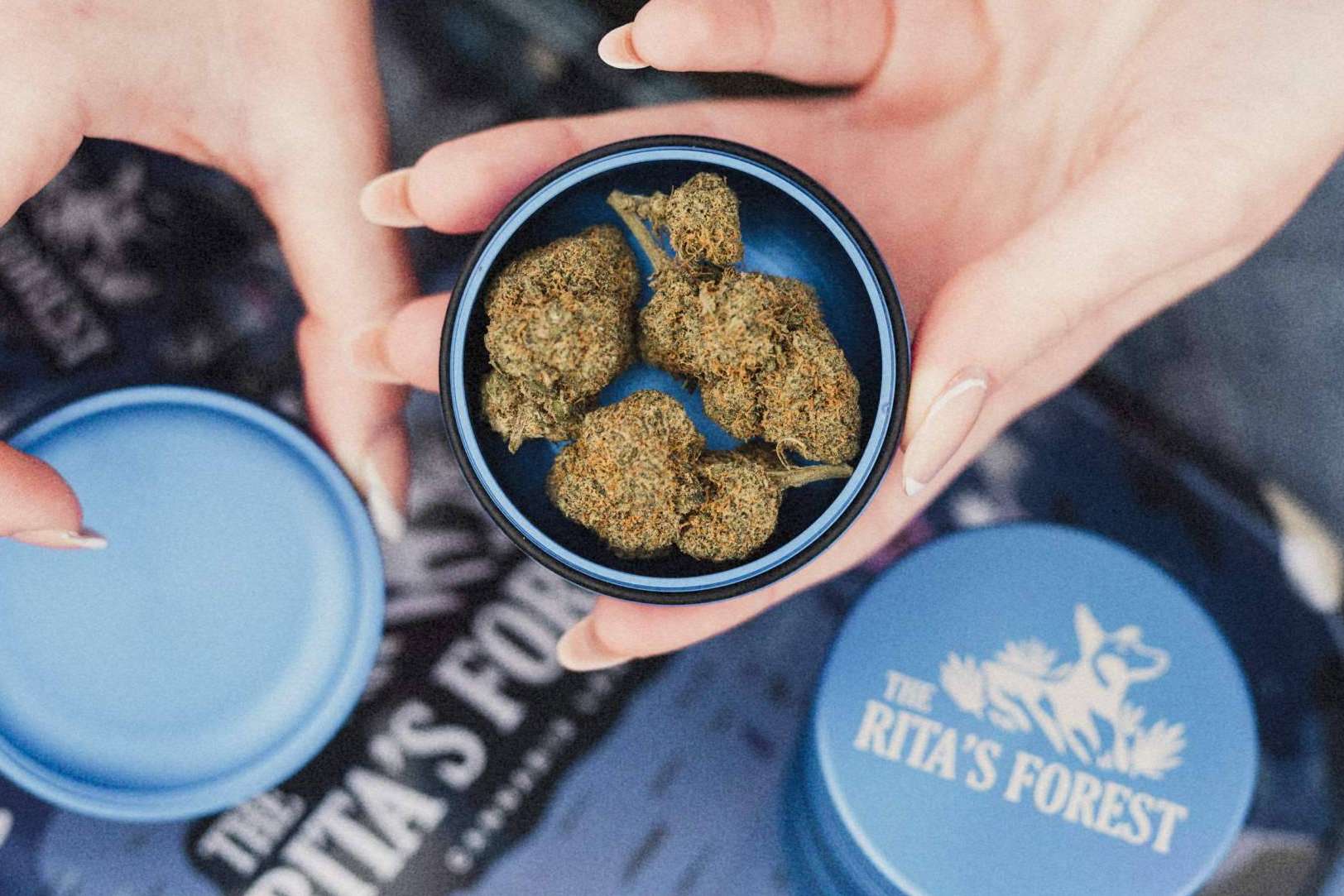 Las ventajas del CBD para dormir, con The Rita's Forest