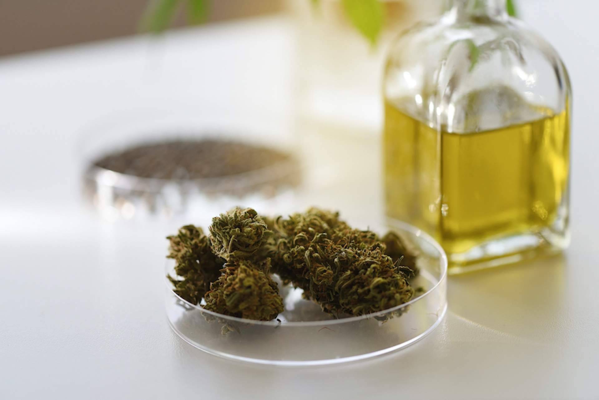 Los productos de CBD que se pueden comprar en Flower Farm