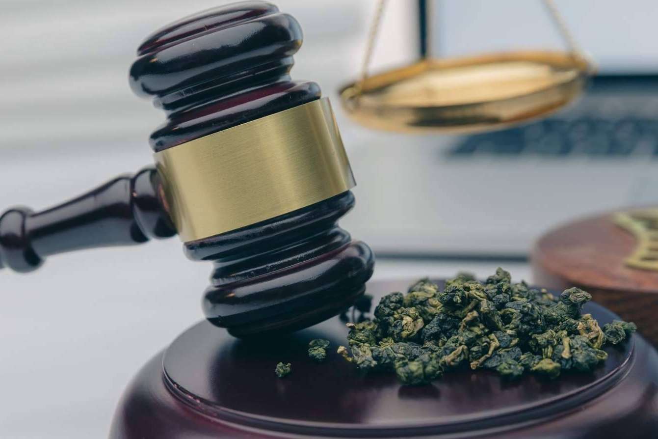 ¿Por qué es importante consultar con abogados especializados en CBD para evitar transgredir la ley vigente?