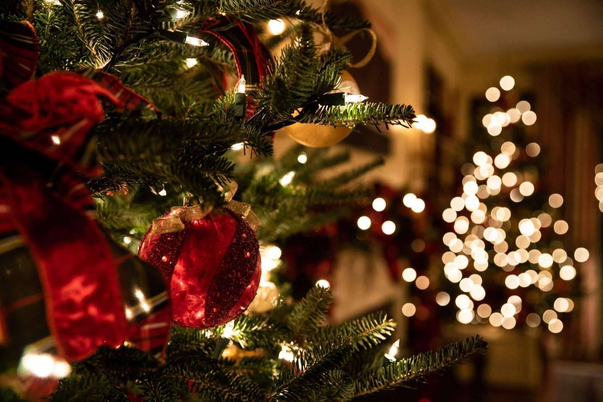 El CBD es un regalo ideal para Navidad