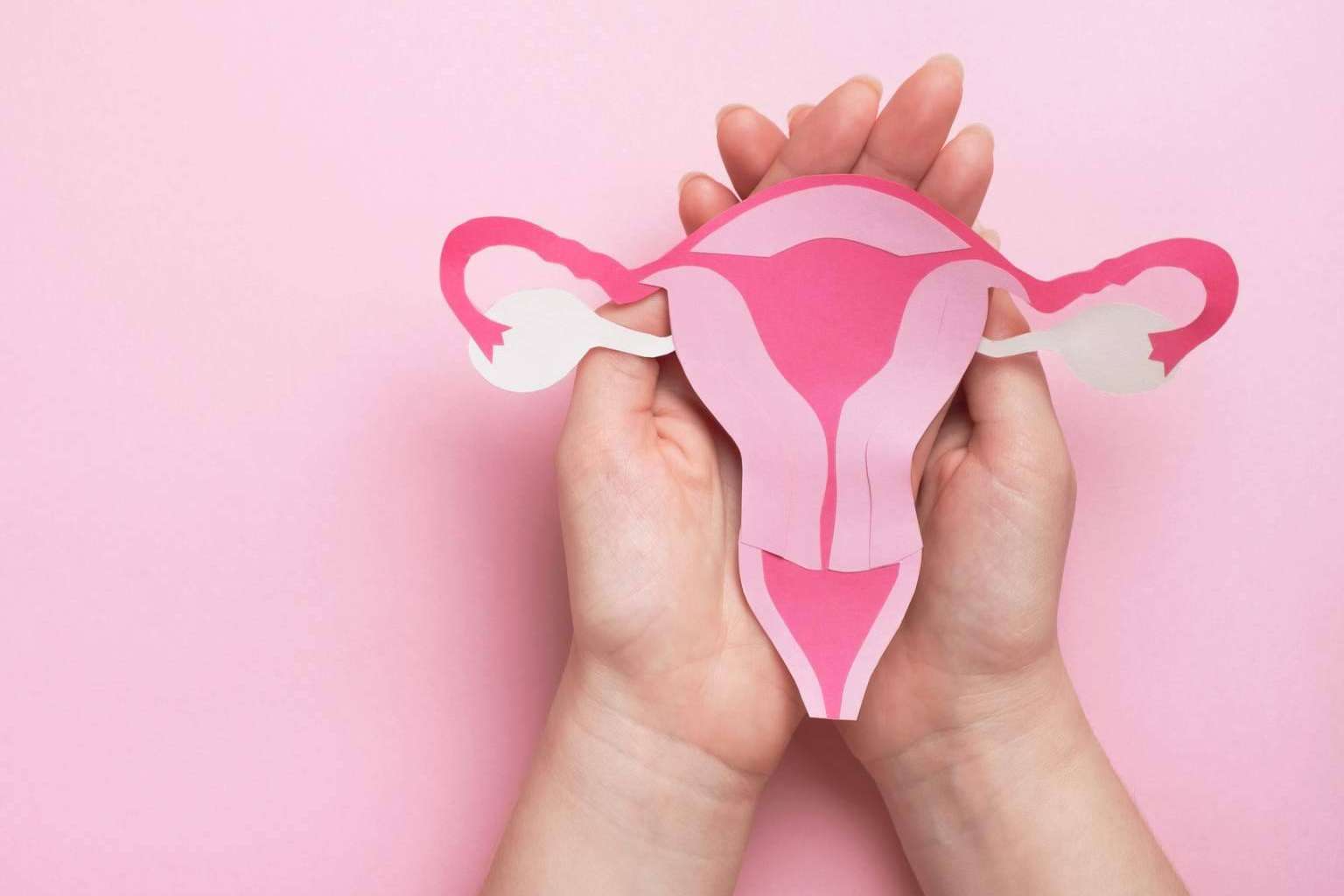 Sensaciones Loveshop, ejemplo de especialización en salud sexual