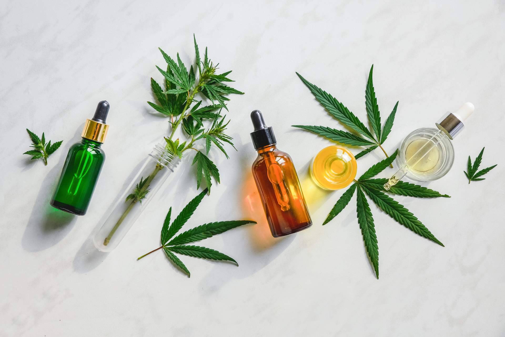 El CBD, una de las principales referencias en el mundo del cannabis medicinal